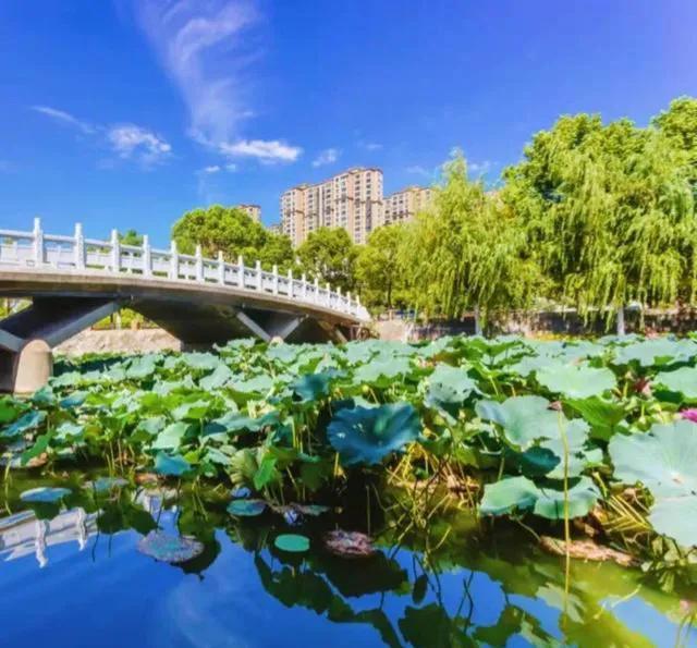 南阳理工学院是几本，2021南阳理工学院排名（南阳师范和南阳理工谁更好）