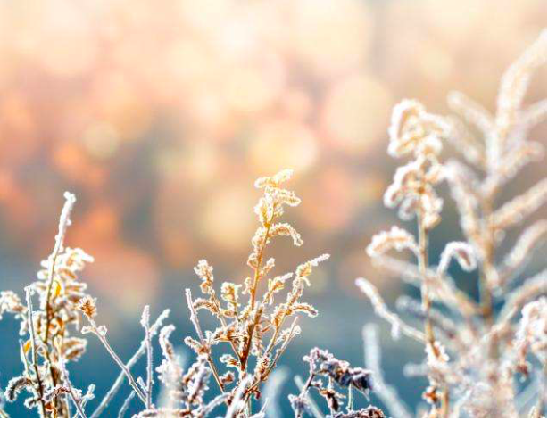 2022年除夕前后会下雪吗，2022年春节会下雪吗（天气预报：年关将至）