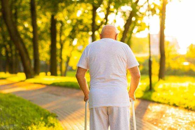 菜类蔬菜名字，菜类蔬菜名字大全（一天的钙都补足了）