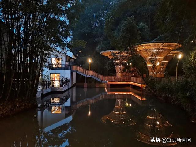 竹海生态旅游景区介绍，到绿水青山的蜀南竹海“走一遭”吧