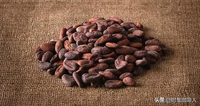 可可豆和咖啡豆的区别，可可豆和咖啡豆的区别成分（有没有人分不清楚）
