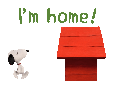 home是什么意思英文翻译，[词汇]关于“home”的词性问题的思考