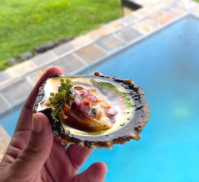 珍珠的形成过程，河蚌体内珍珠的形成过程是（探秘珍珠颜色的形成）