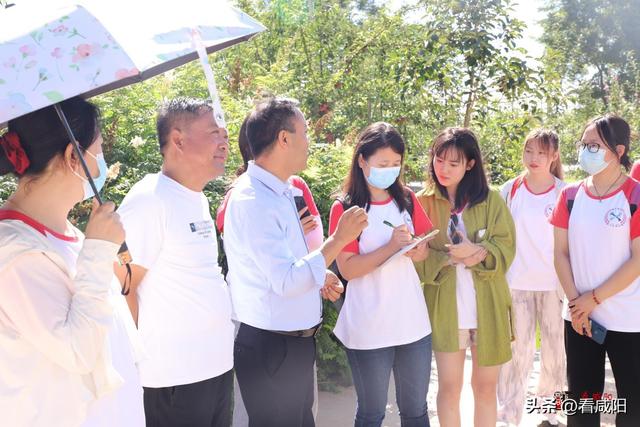 西北大学现代学院，西北大学现代学院是985大学还是211大学（用青春力量助力乡村振兴）