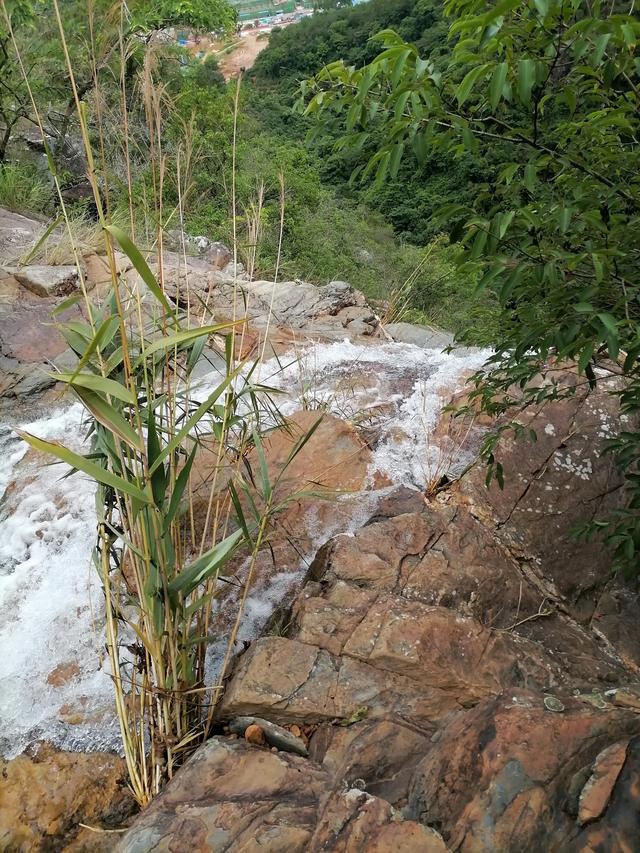 大自然的搬运工，大自然的搬运工是什么动物（大自然的搬运工是什么动物日记）