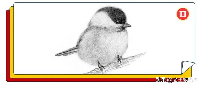 铅笔画入门教程，铅笔画萌少女入门教程（教你用铅笔画羽毛的质感）