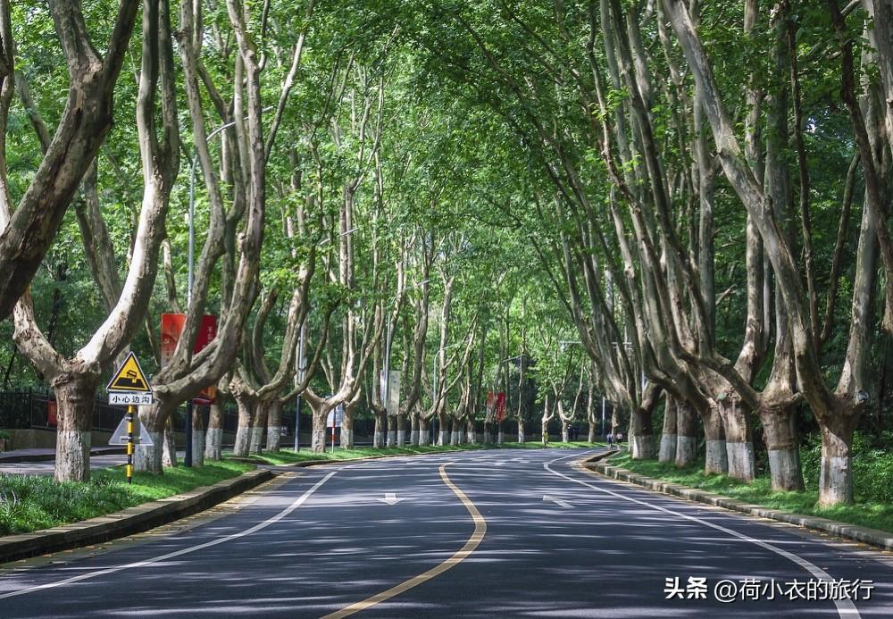 南京出发二日游，南京出发二日游攻略（南京最美的6个地方）