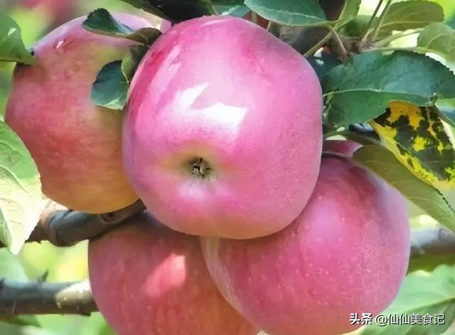 哪种形状的苹果好吃，苹果哪样的好吃（这4个地方还不错）