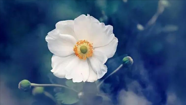 朋友不想搭理你的表现，好朋友疏远你的表现（打心底里瞧不起你）