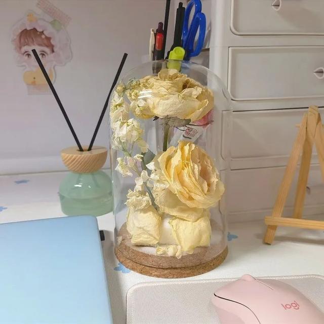 厦门大学宿舍，厦门大学宿舍几人间（一起提升宅寝幸福感）