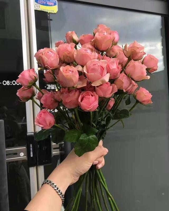 自我安慰的幽默句子，自我安慰的搞笑说说（关于安慰自己的文案）