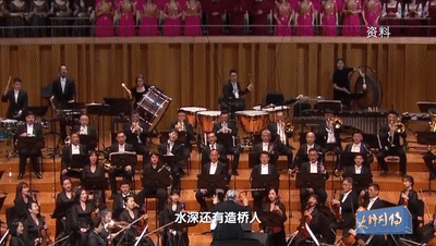 感动中国人物事迹，感动中国十大人物事迹（郑小瑛：让世界听见中国）