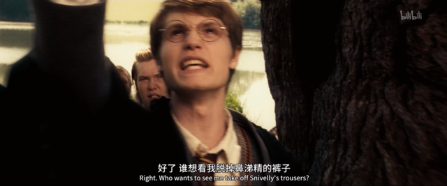 斯内普是好人还是坏人，《哈利波特》中斯内普是好的还是坏的（被嫌弃的斯内普的一生）