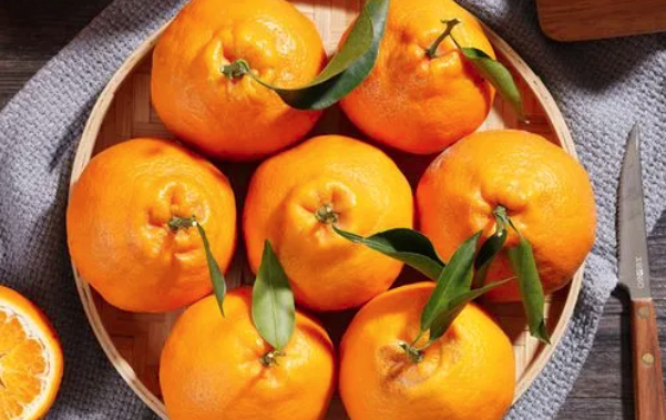 橘子和柑子有区别吗它们怎麽区分，橘子与柑有何不同（橘子，柑子，橙子傻傻分不清）