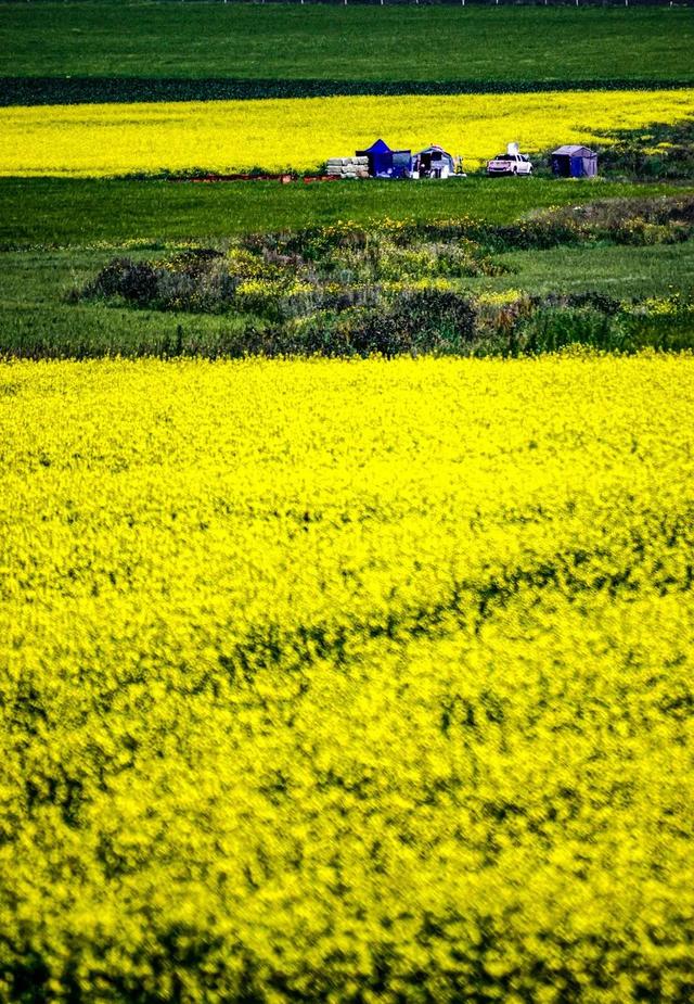 七八月份最适合旅游的地方，7-8月最适合旅游的地方（探索天地间的五光十色）