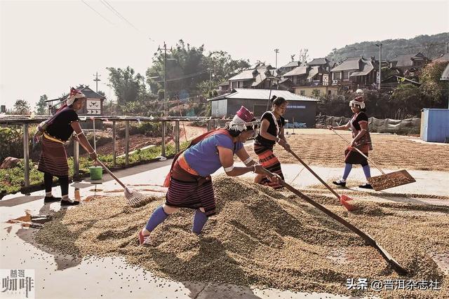 咖啡的原产地是哪里，咖啡的原产地是在哪（世界咖啡地图丨咖啡）