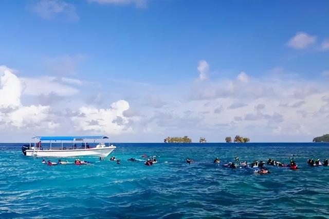 帕劳在哪里，帕劳的位置在哪里（太平洋岛国——帕劳）