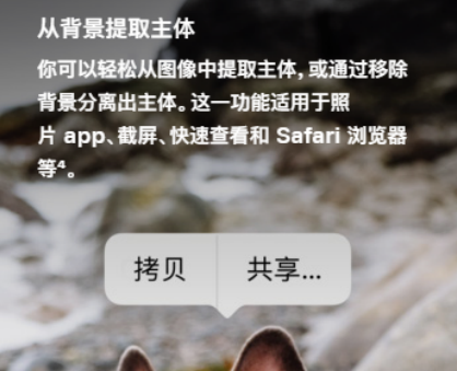 苹果8截图怎么截屏，苹果8怎么截屏（分享几个苹果手机的隐藏功能）