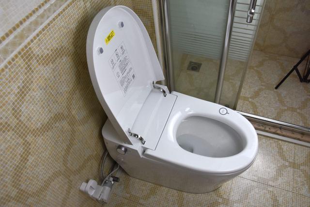 马桶要怎么选购 马桶5个选购要点，马桶要怎么选购（认准“5选5不选”就够了）