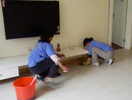 大蟑螂是怎么进入家里的，家里蟑螂是怎么来的（蟑螂是怎么出现在家里的）