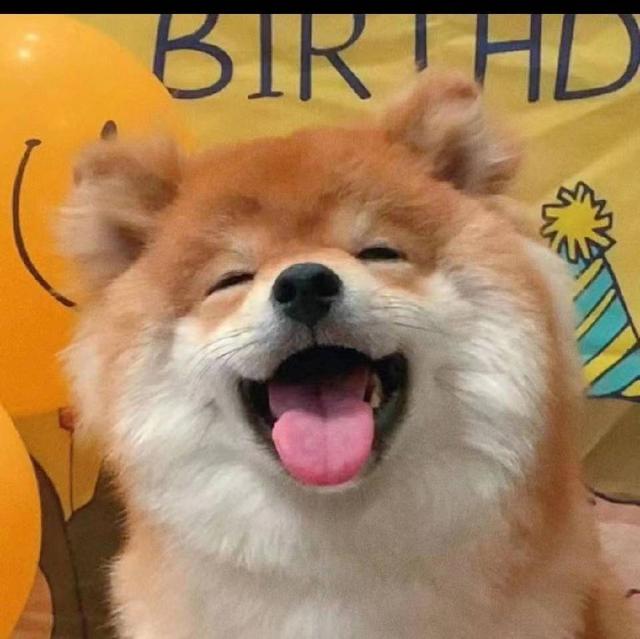 微信头像动物可爱超萌，超奶萌可爱动物类头像（可爱小动物头像）