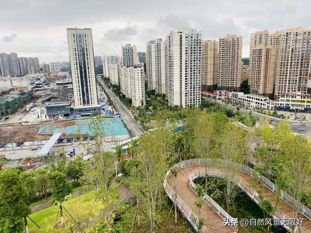 秋天的花朵怎么画，儿童画秋天的花朵（秋天的画）