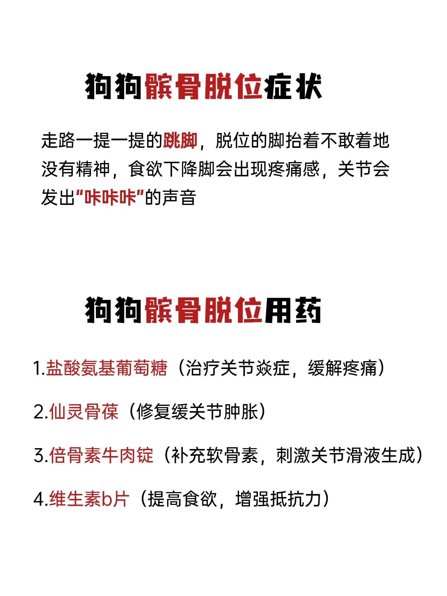 狗眼下骨头鼓起来了怎么办：预防与治疗（如何避免狗狗眼下骨头凸起及相应的治疗方法）