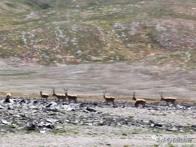 国内最值得旅游的地方，国内最值得旅游的地方是哪里（国内10处风景绝美的地方）