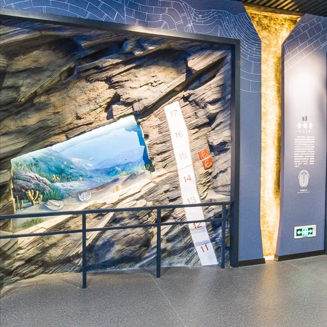 生物化石的形成过程，化石是怎么形成的（从地质年代表看生命的起源）