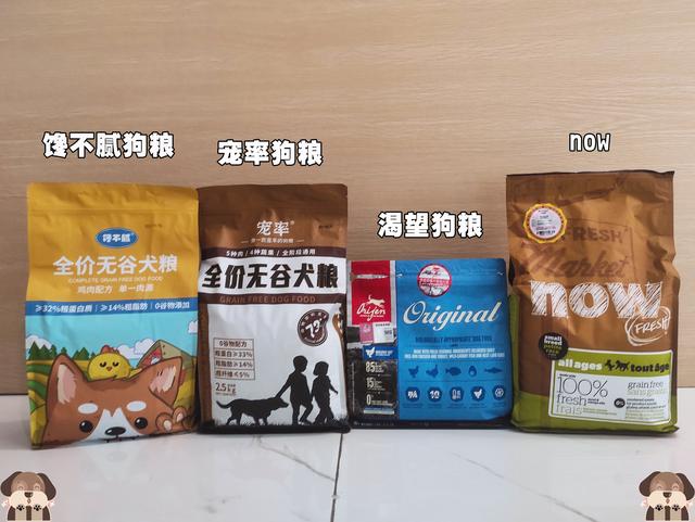 怎么养狗狗才正确方法，怎么养狗狗的方法大全（饲养狗狗需牢记这“6个点”）