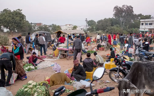 印度国土面积多少平方公里，印度国土面积多少平方公里美国（印度耕地面积高于中国）