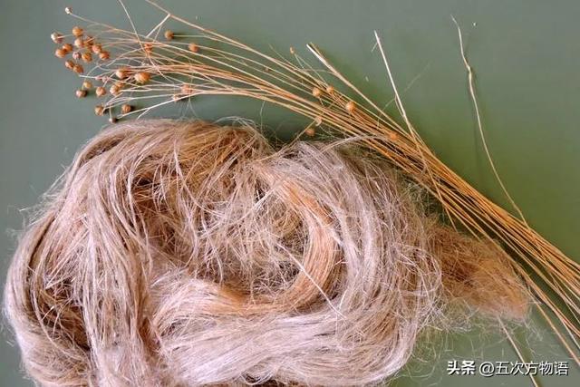 五蠹是哪五个，指的是哪五蠹？之首是儒术吗（中国麻类作物大全）