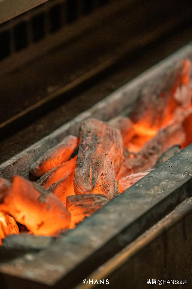 日本提灯是鸡的什么部位，提灯是鸡的什么部位（探索一只鸡的30种可能）