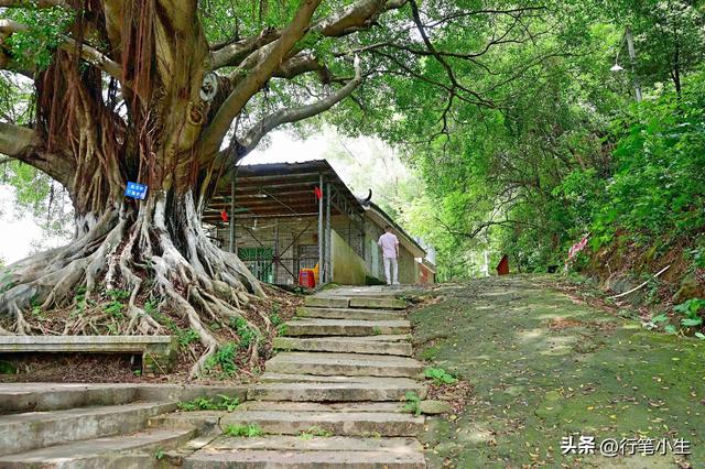 丝绸之路的路线，海上丝绸之路的路线（一条被荒弃在大山里的古道）