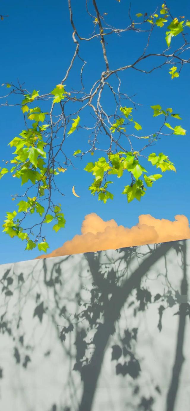 夏日小清新唯美治愈风景图,夏季清新唯美图片(夏日清新壁纸)