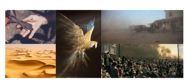 蜜蜂从地球上消失了会怎样，如果蜜蜂从地球上消失,人类将只能再存活四年（没有想法时，怎样突破重围的）