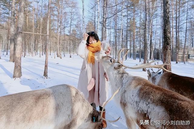 漠河旅游攻略，东北漠河旅游攻略（漠河旅游攻略，怎么去漠河）