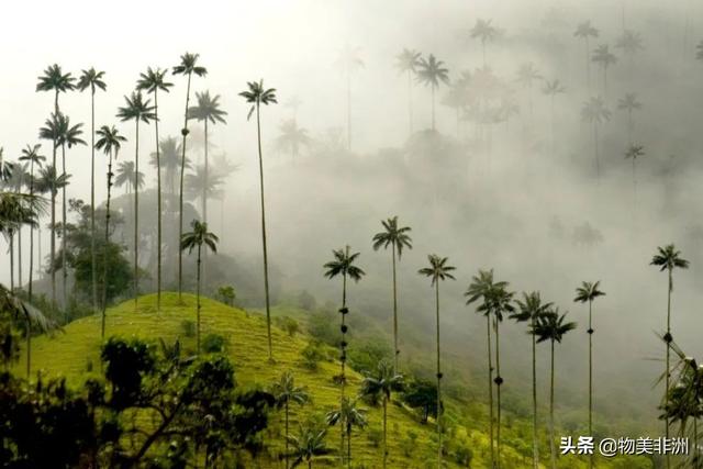 世界上最美丽的地方，全球最美10个旅游地（2022年世界最美的51个地方）