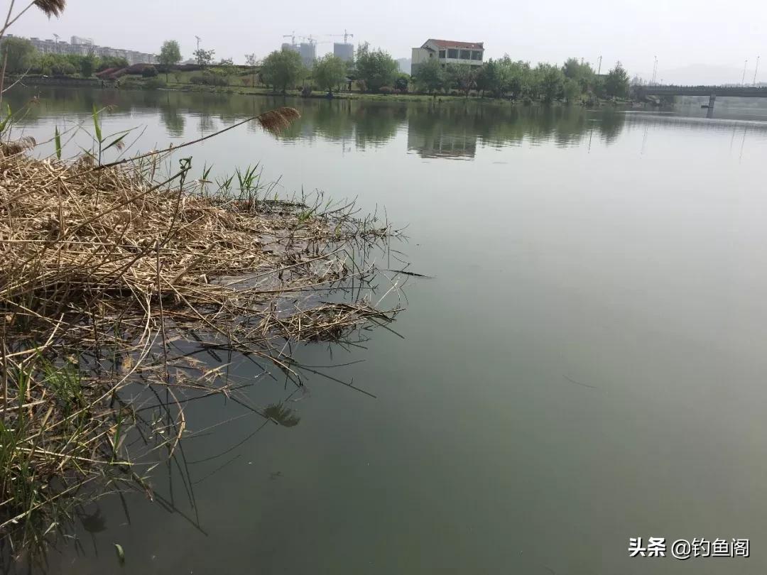 寻找附近野钓草边好去处，享受自然垂钓乐趣，轻松找到离你最近的理想钓点
