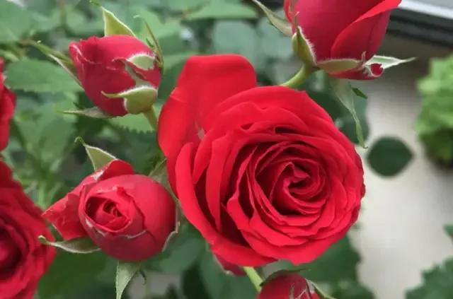 免打扰模式怎么设置，手机免打扰模式在哪里设置（手机免打扰模式开启）