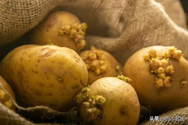 红薯发芽了还能吃吗，红薯发芽了还能吃吗孕妇能吃吗（有的营养价值翻倍…）