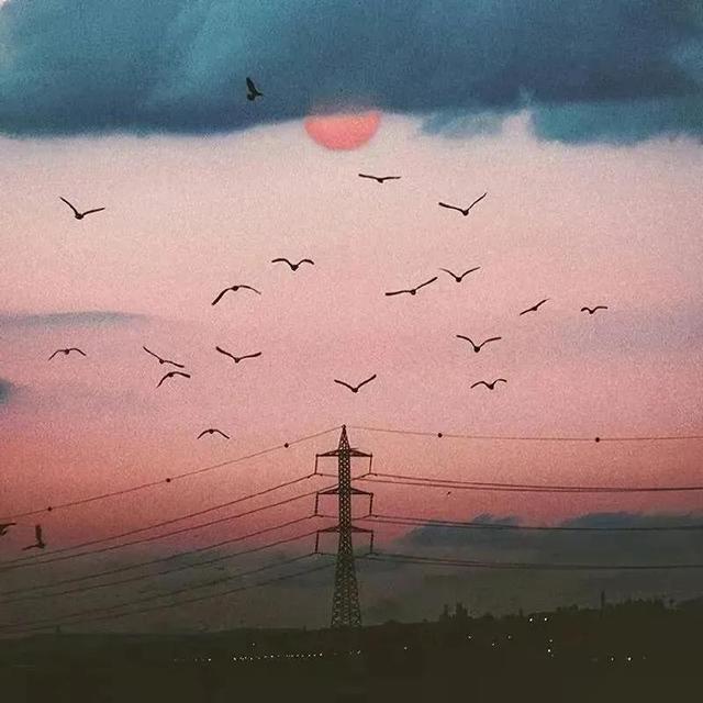 岁月不居时节如流，岁月不居时节如流这句话出自（惊艳绝美文案：岁月不居）