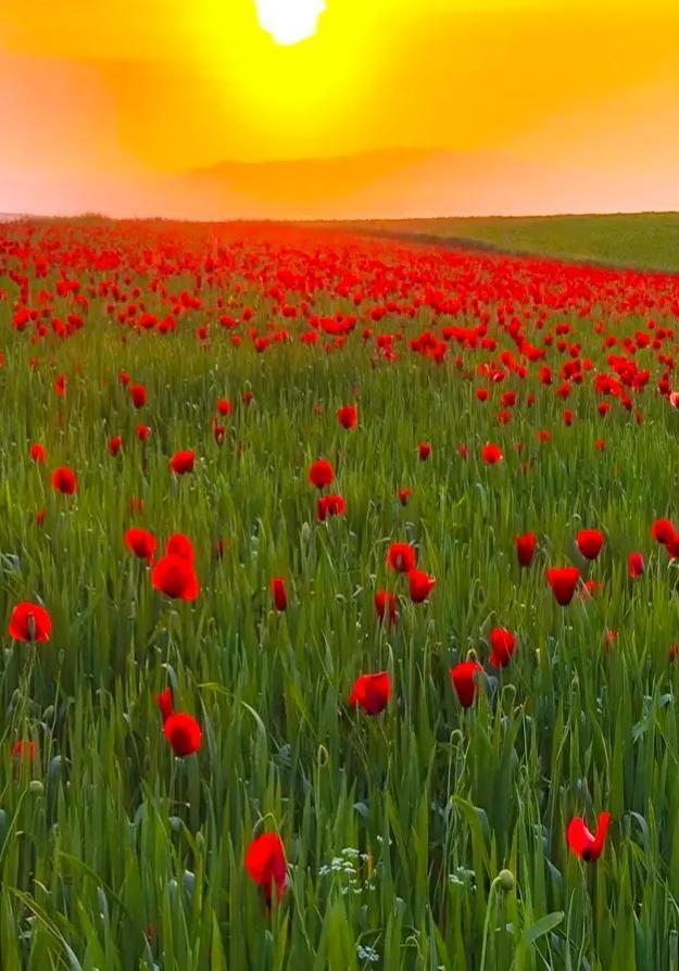 不如名师指路前面一句是什么，不如名师指路前面一句是什么成语（就是看透而不说透）