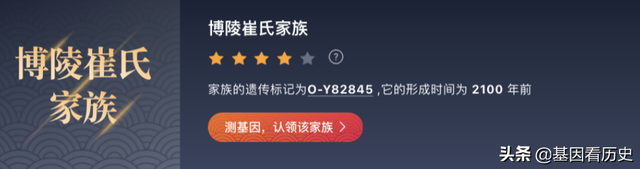 血统是什么意思，锤系血统是什么意思（中国人为什么从来都不讲血统）