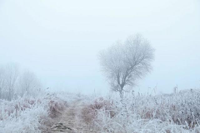 咏雪的诗词名句，这10首咏雪诗词