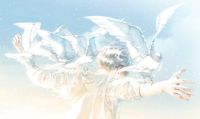 光影美，光影美学概念（淡淡的色彩表达颇具美感图片）