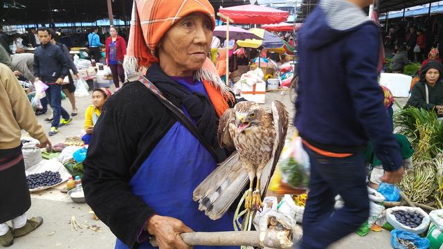 小勐拉属于哪个国家，小勐拉对面是中国哪里（初哥去过那个嘎腰子的缅北）