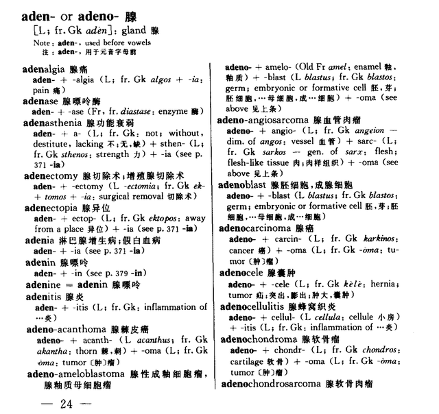 常用英文名字，酒店常用英文名字（认识9百个拉丁语常用字拥抱科技创新）