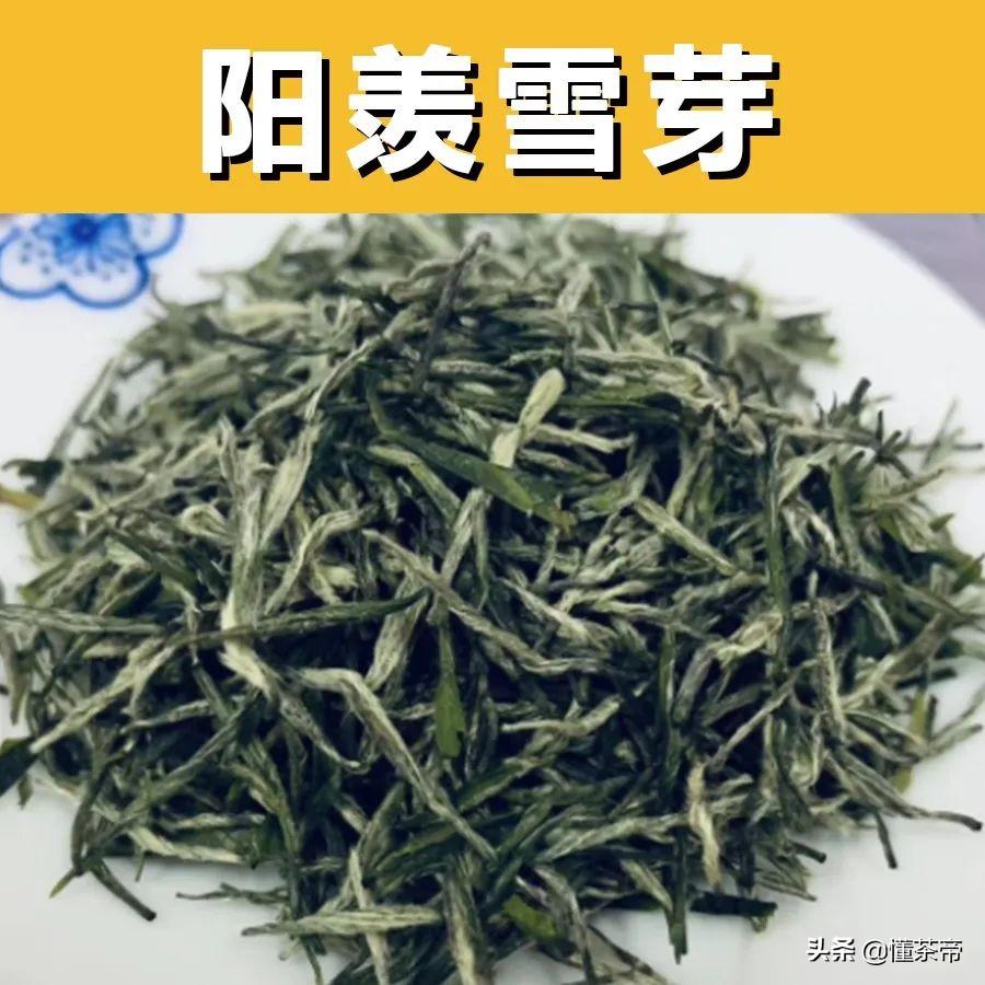 我国著名的绿茶(我国著名绿茶有几种)插图(7)