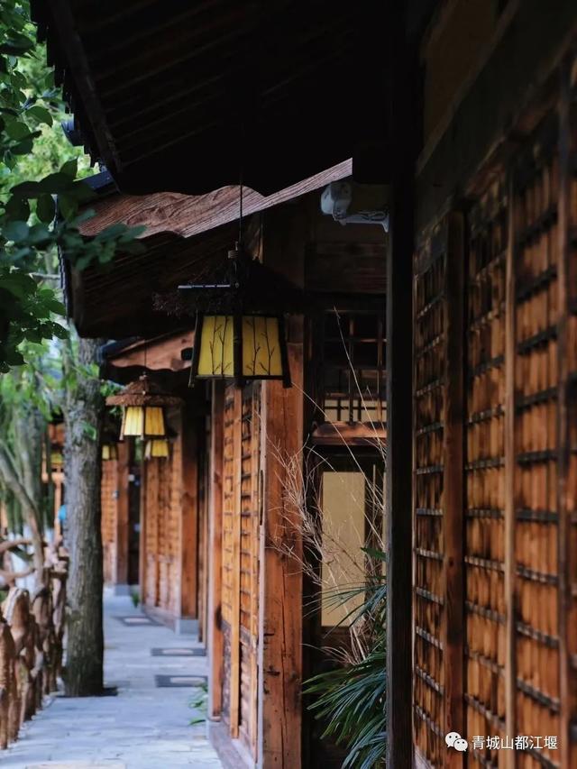 青城山旅游，青城山旅游图（赏千年银杏、观层林尽染、泡山间温泉......顶奢配置慢生活尽在青城山～）